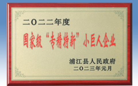 喜添国家荣誉！世界杯官方网站入选国家级专精特新“小巨人”企业